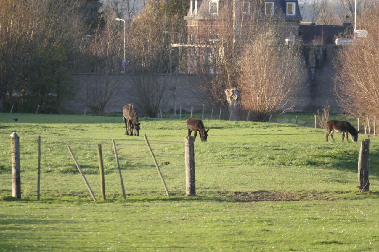 Meschermolen 9 Eksteriør billede